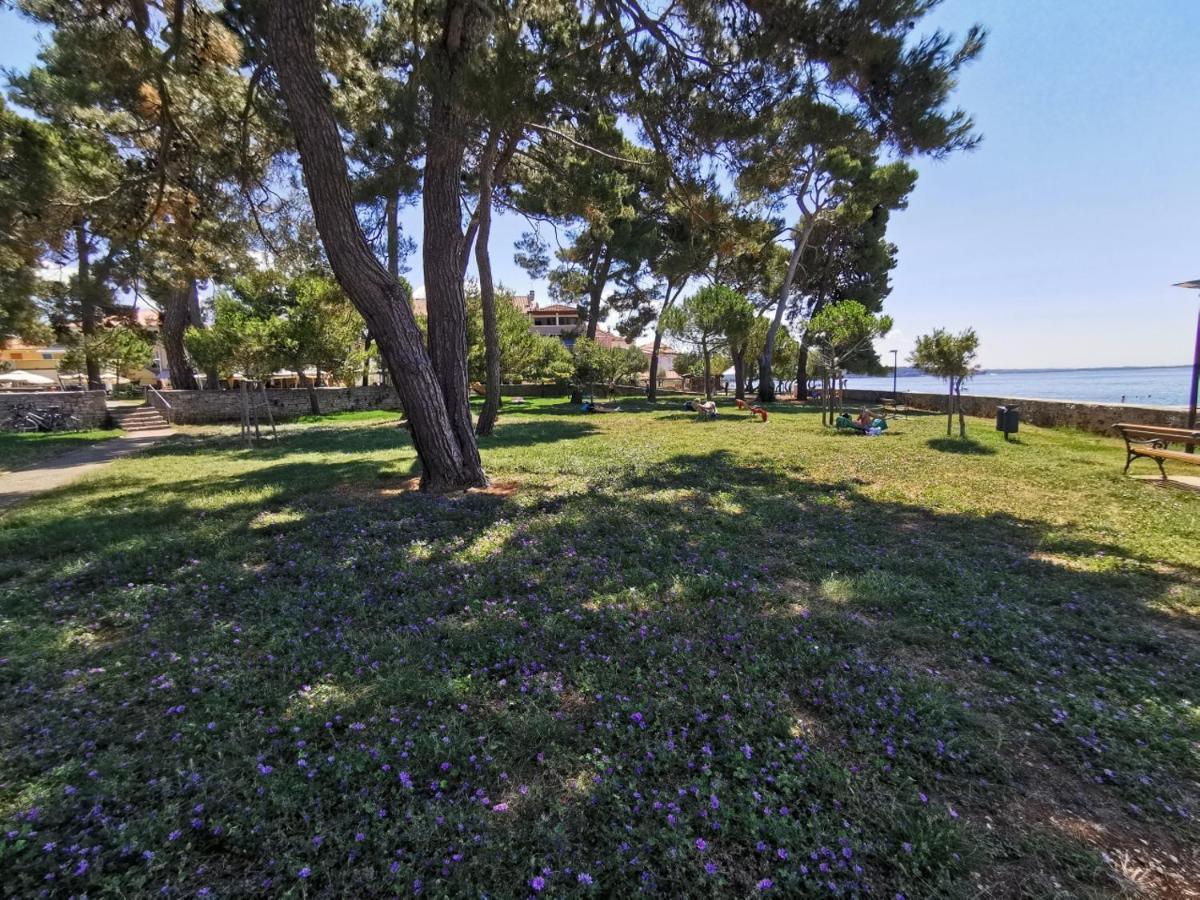 Ivan B&B, 5 Star Superior Room, Near The See And Park Novigrad Istria 외부 사진